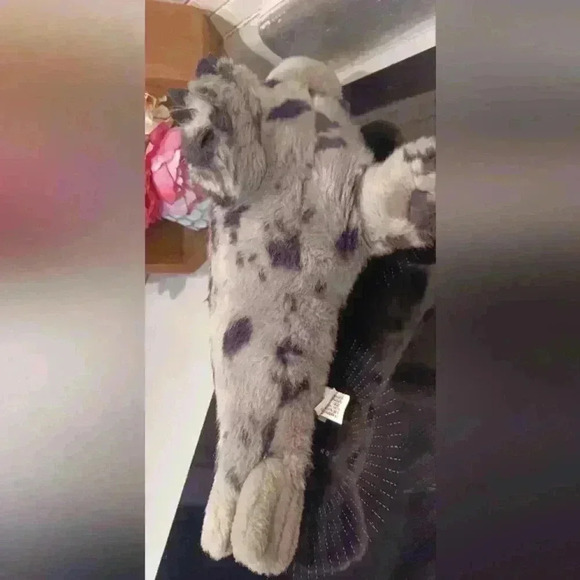 Wild  Republic Spotted Gray Harbor Seal Plush Stuffed Animal Toy 14" - Picture 5 of 10